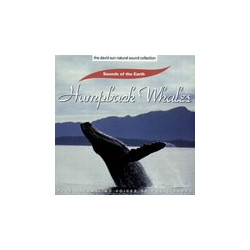 Humpback Whales